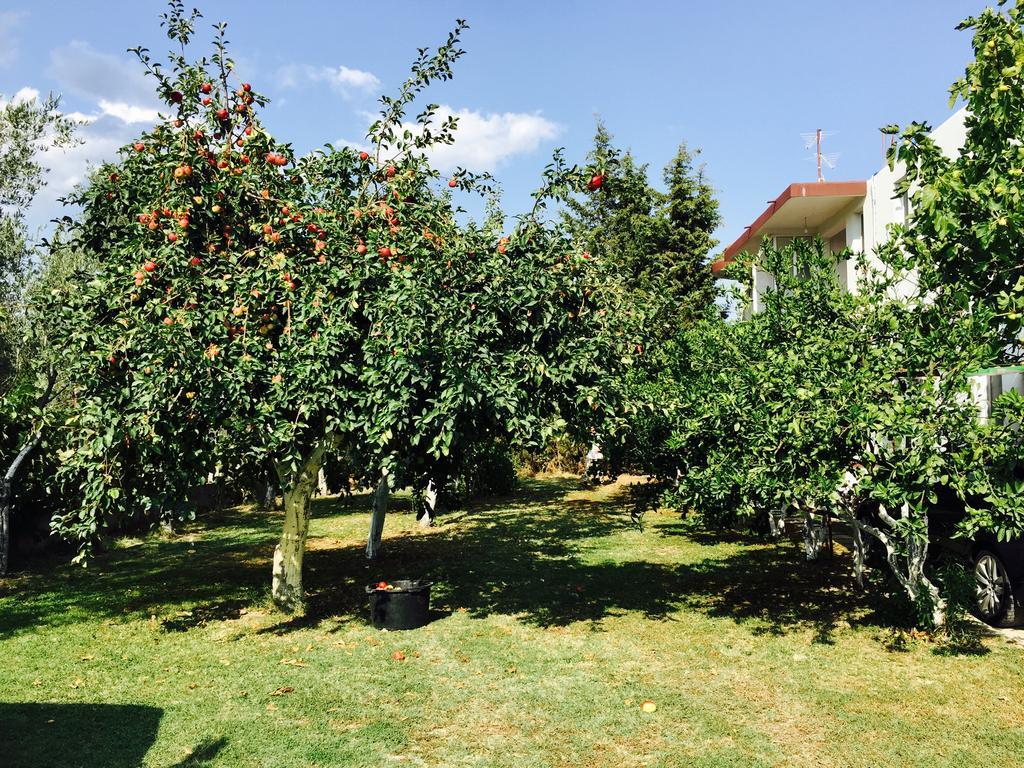 Apartments Flamingo Ulcinj Zewnętrze zdjęcie